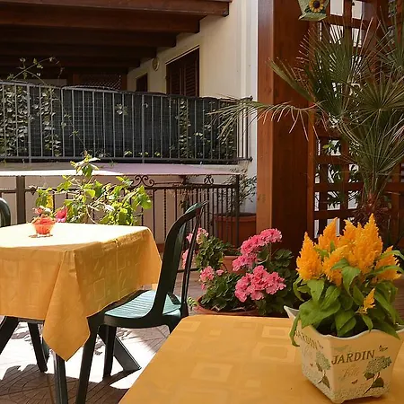 Sun Garden