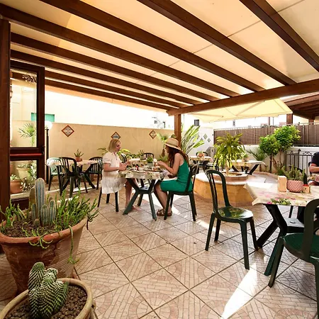 Sun Garden *
